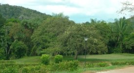Naturaleza lotes